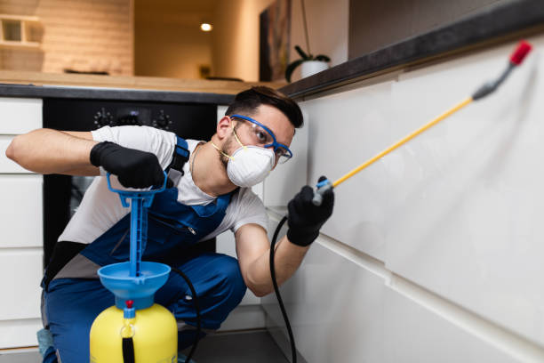 Best Residential Pest Control  in Chatfield, MN