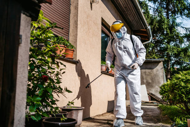 Best Residential Pest Control  in Chatfield, MN