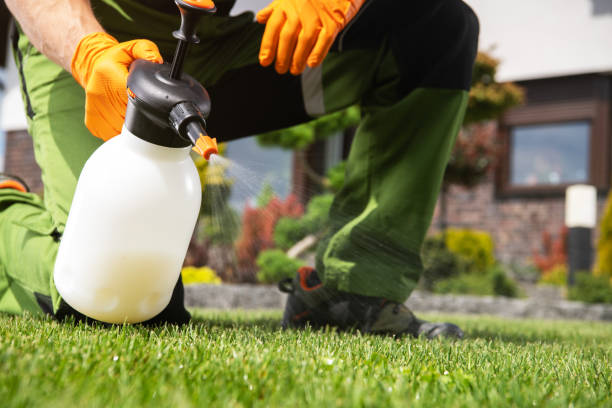 Best Local Pest Control Services  in Chatfield, MN