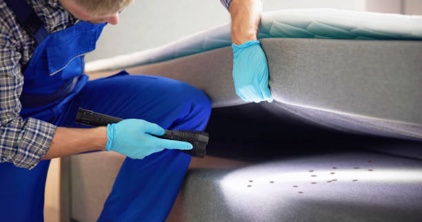 Best Affordable Pest Control Services  in Chatfield, MN