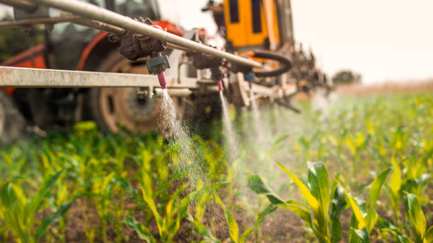 Best Wildlife Control Services  in Chatfield, MN